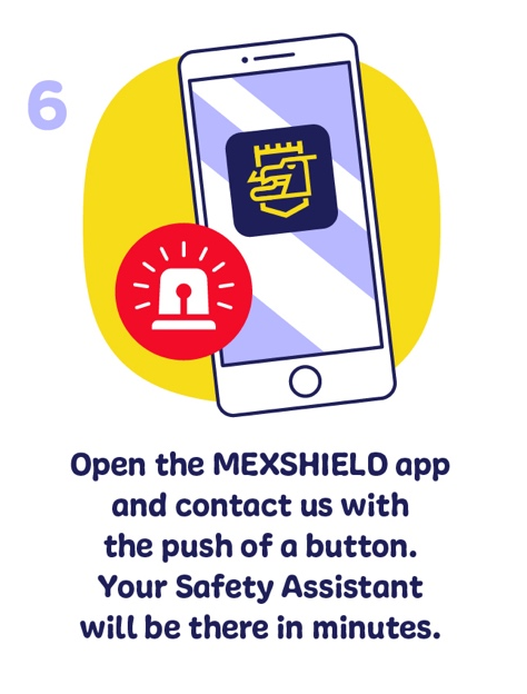 Mexshield Logo