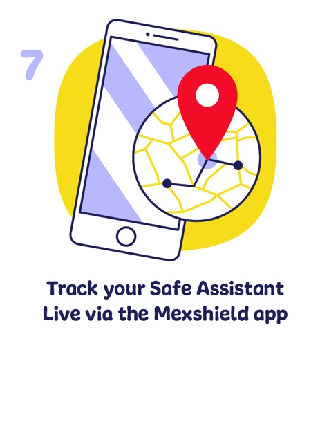 Mexshield Logo